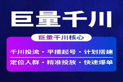 SEM广告投放的技巧与策略——成功案例分享